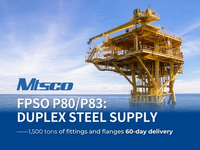 //iprorwxhjlijlp5q-static.micyjz.com/cloud/lpBpoKqilpSRllqqkoiriq/MTSCO-FPSO-P80-duplex-steel-fitting.jpg
